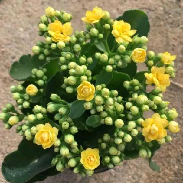 💕ꦿ҉好ᨶ႒ᩚ运快乐