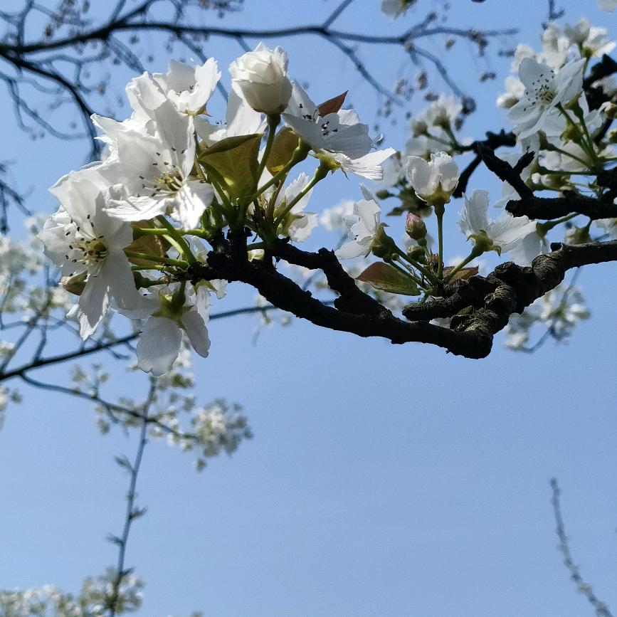 (๑•॒̀ ູ॒•́๑)快乐笑一笑😃