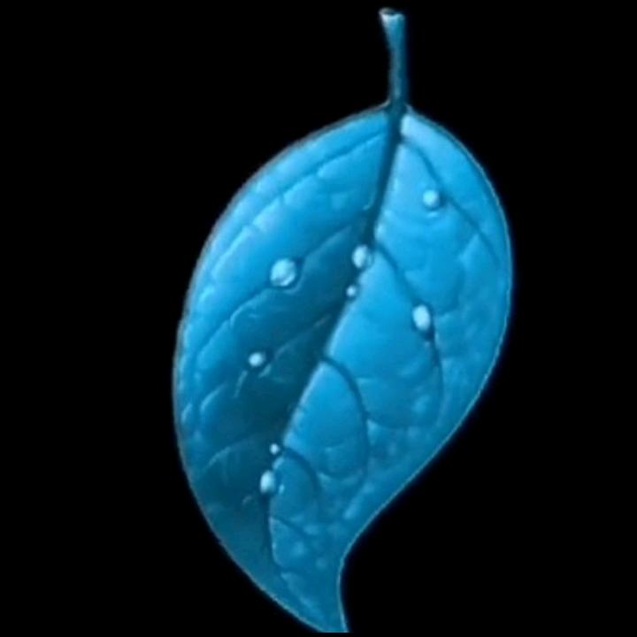 卖农家特产叶子