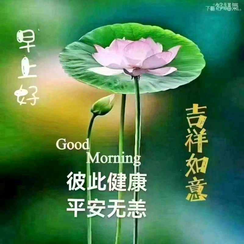 镜格