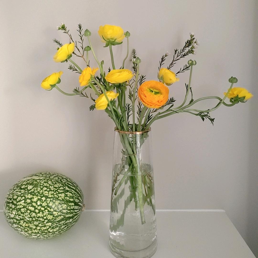 耶耶耶！（弘诚庄园老二）