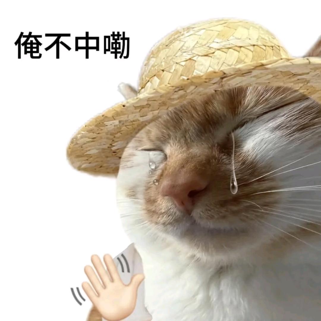 五灵（动画）