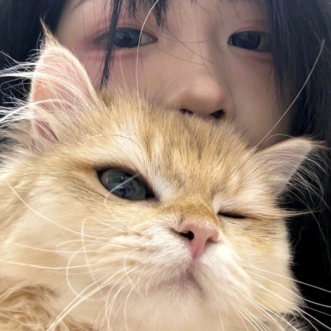 ᰔᩚ小魚冻干🐟