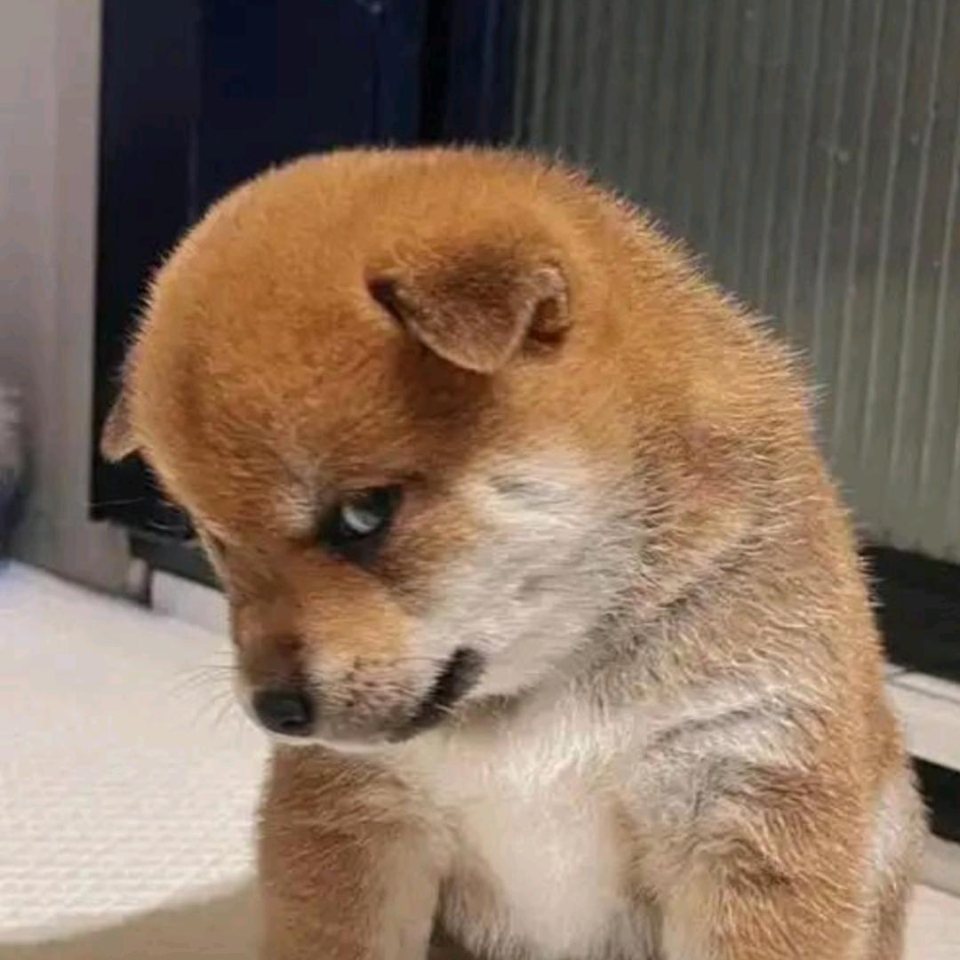 坛里少只鸡