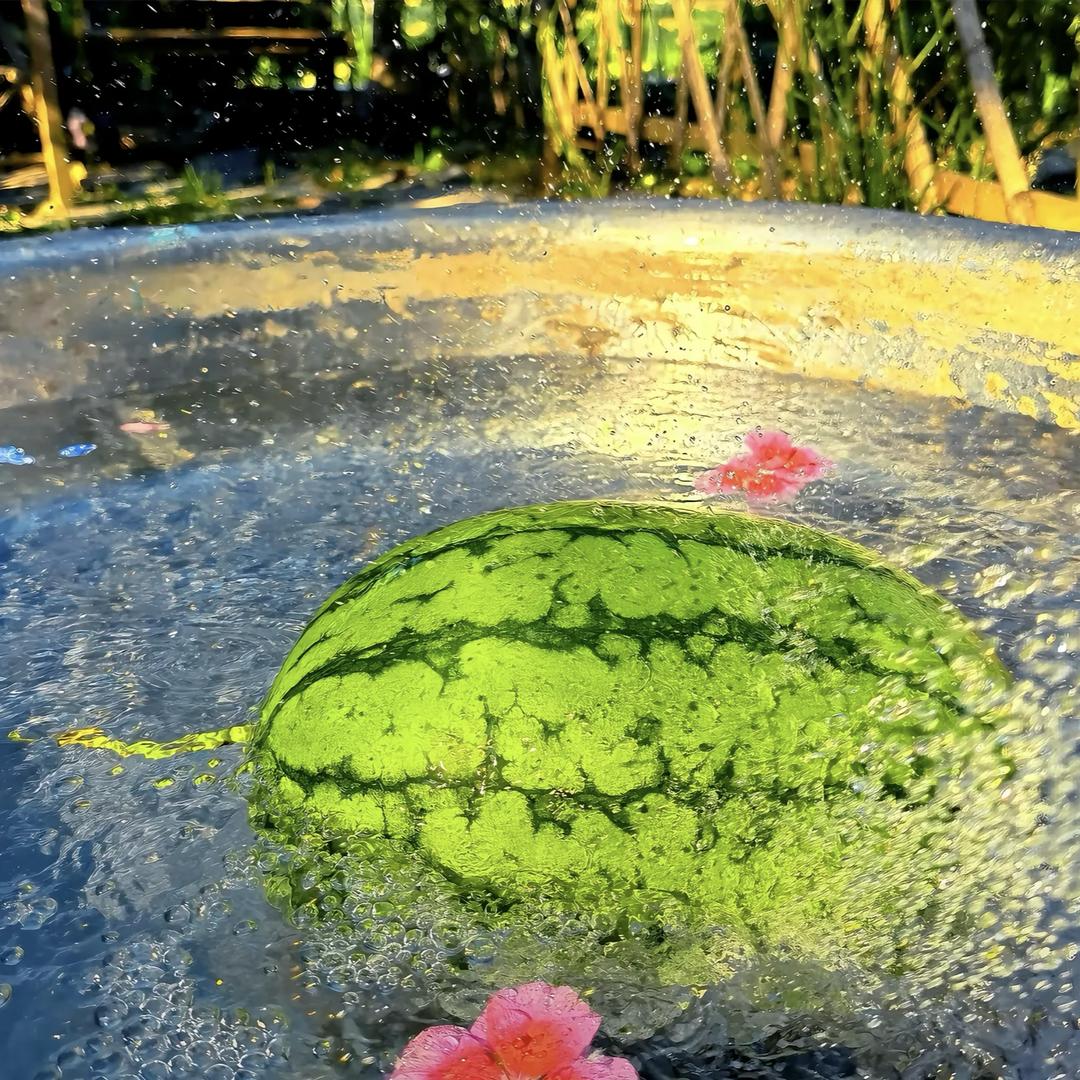 橘子味汽水🥤🍧