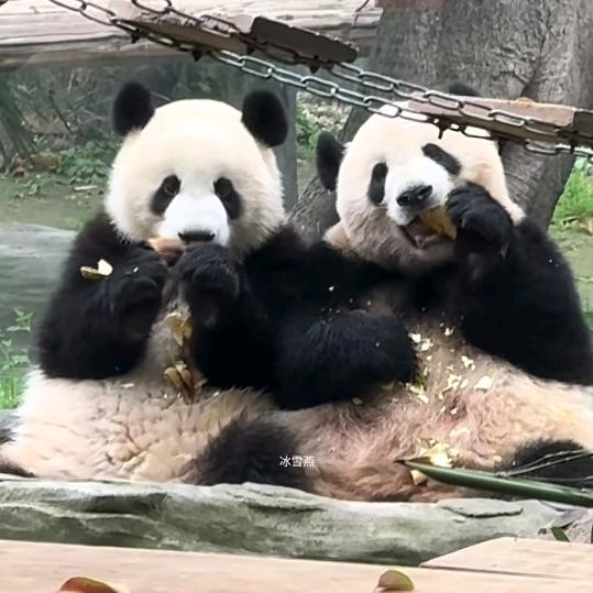 难得糊涂一回