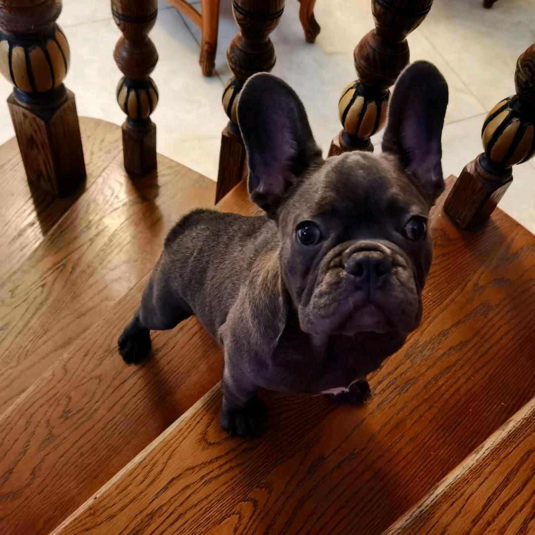 请注意你的素质