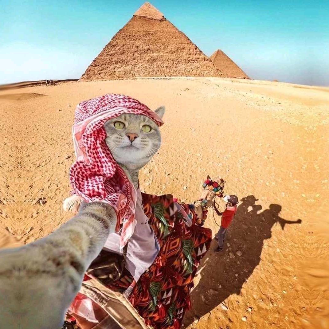 我的好友
