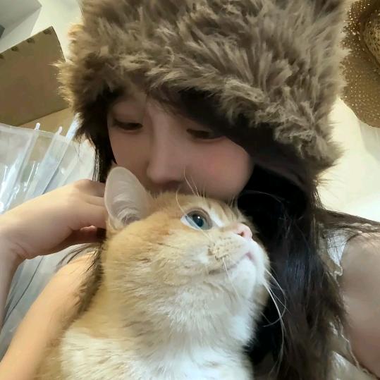 葵