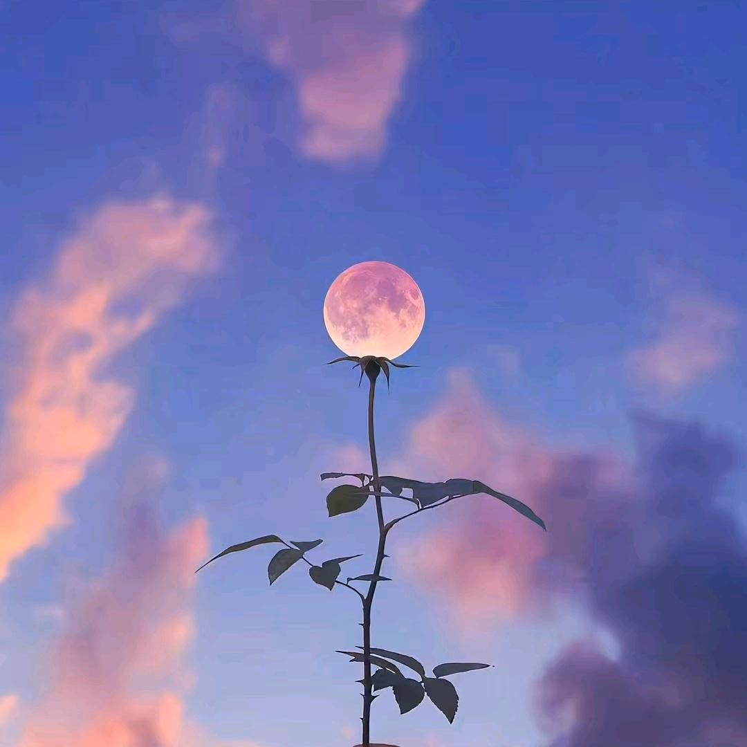 大量回收各种报废手机电脑数码相机