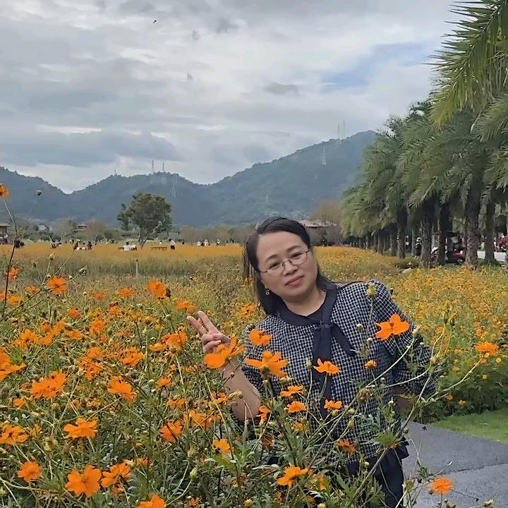 简简单单
