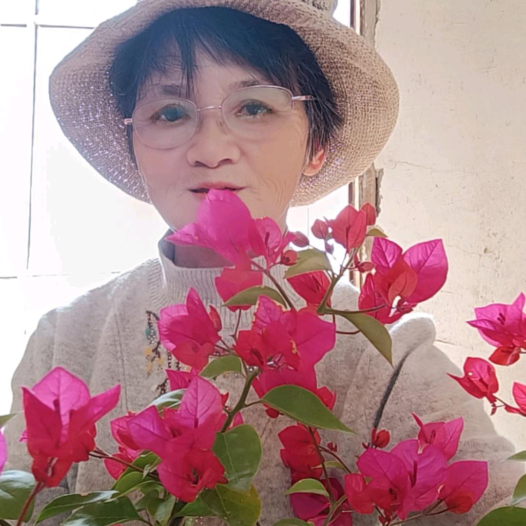 老有所乐