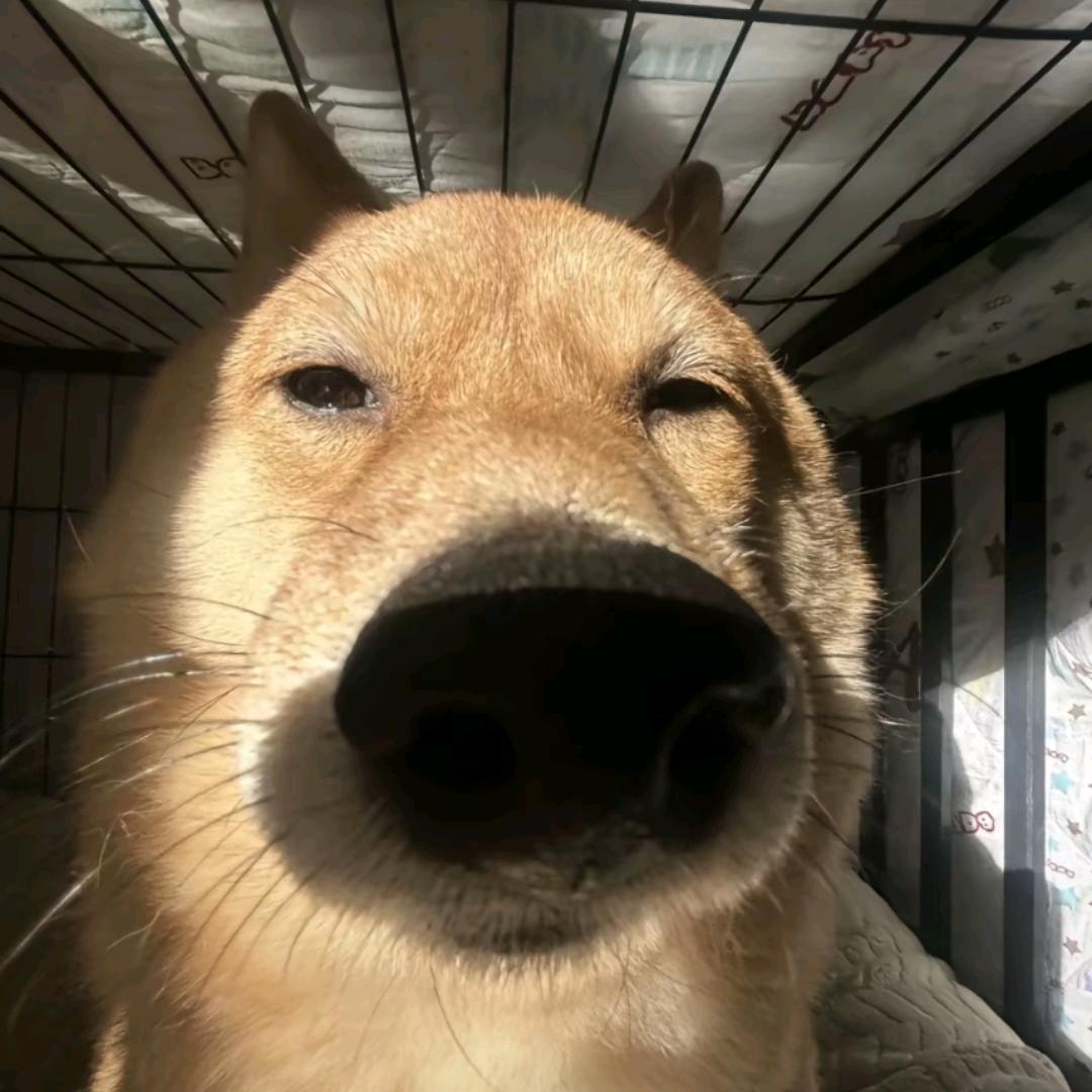 什么都是如果就好了