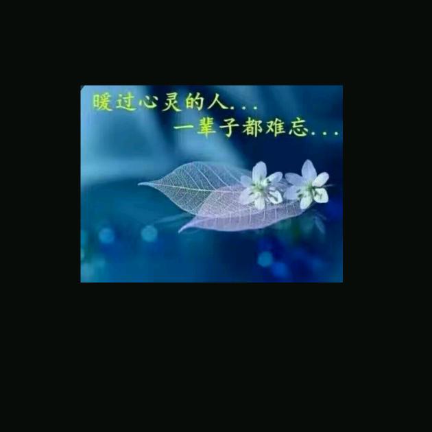 @蕾姐（回族）