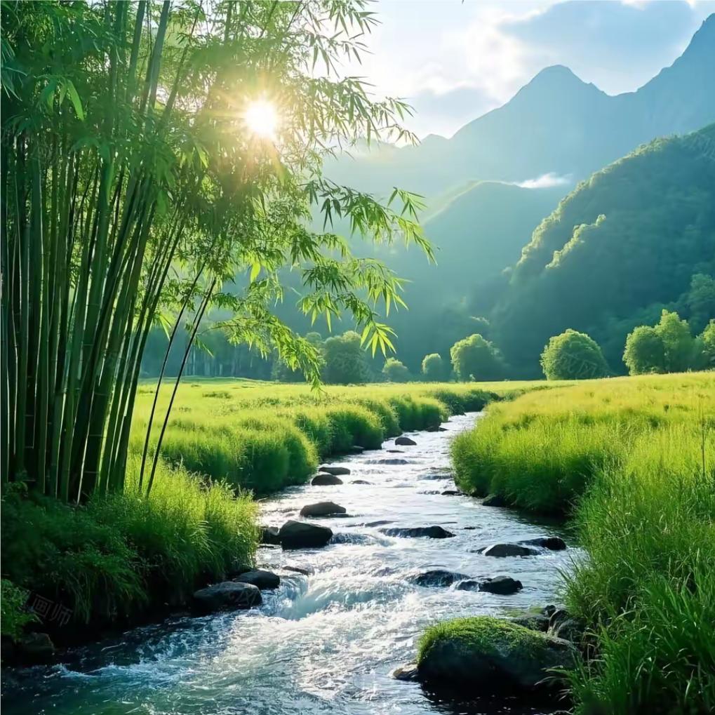 林涧墨澜