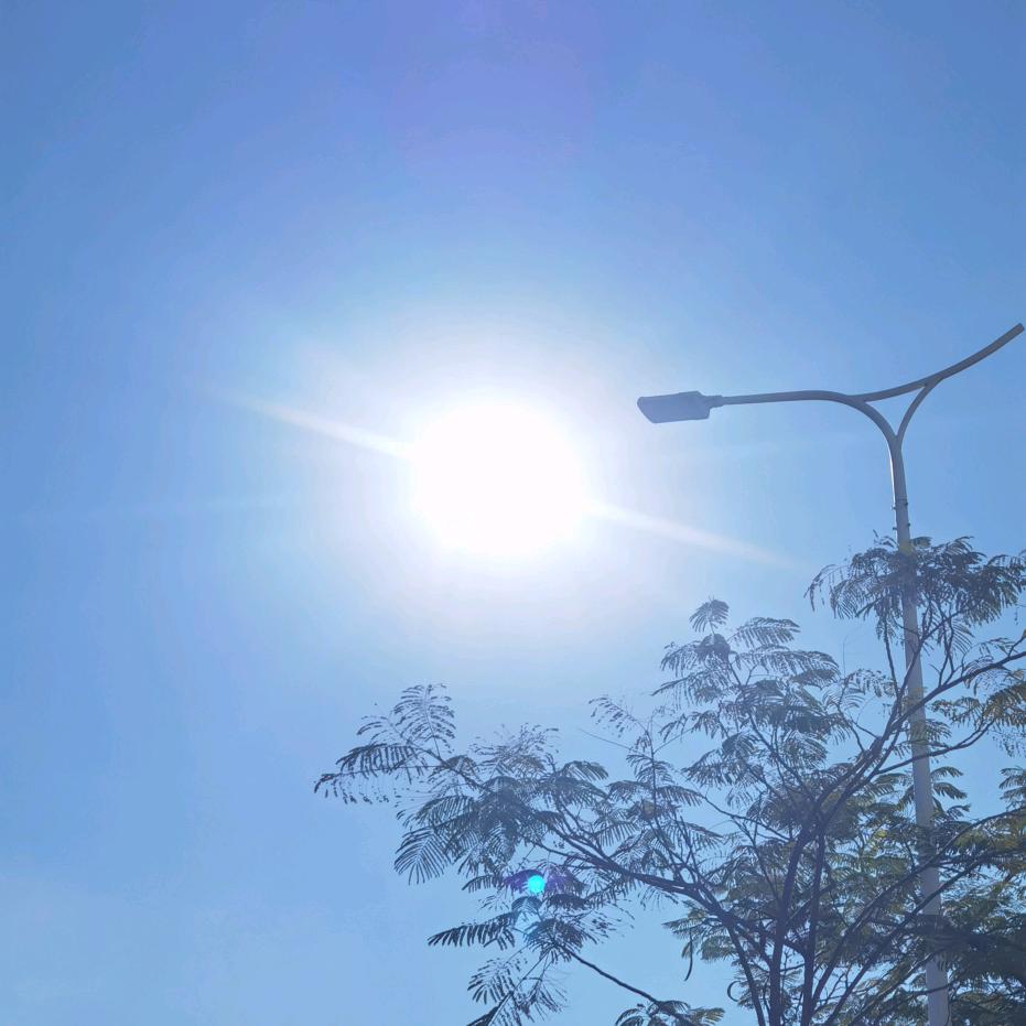 中了生活圈套