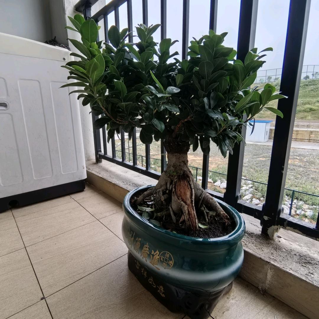 双山水城羊肉粉