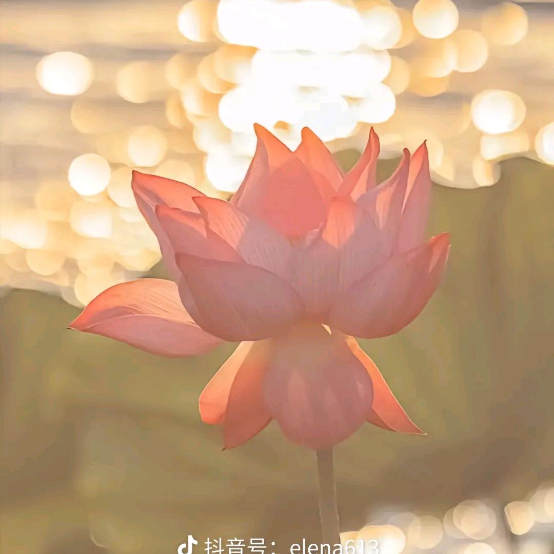 昕嫣