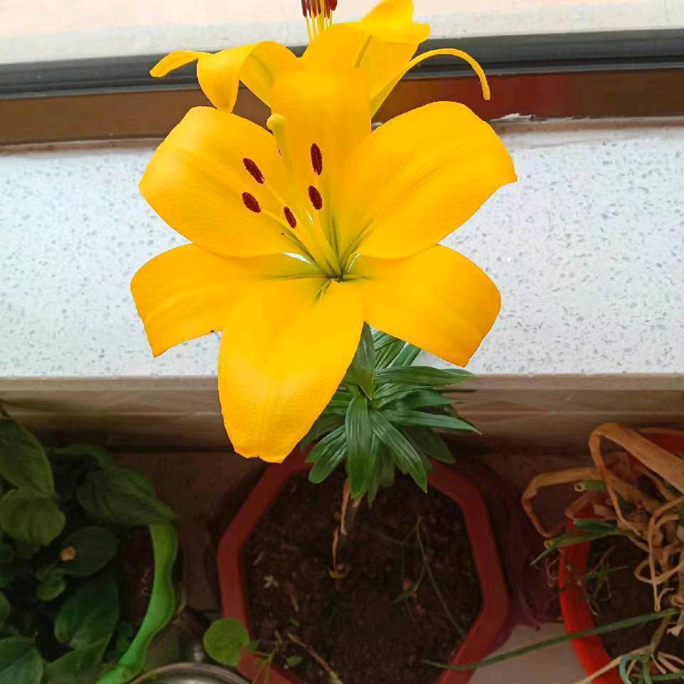 俊贤头像