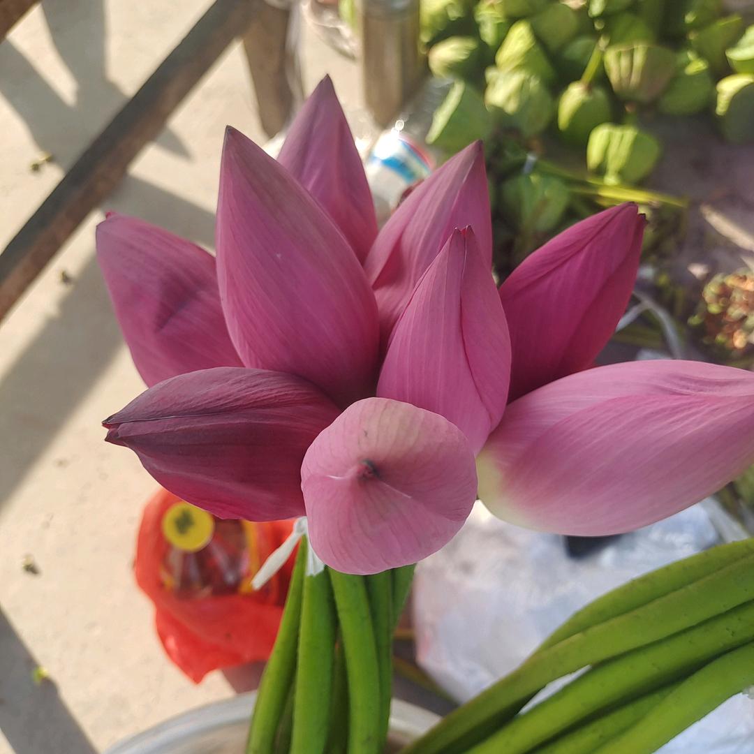 李佳乐呀