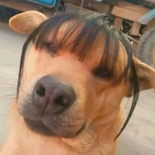 ♋️