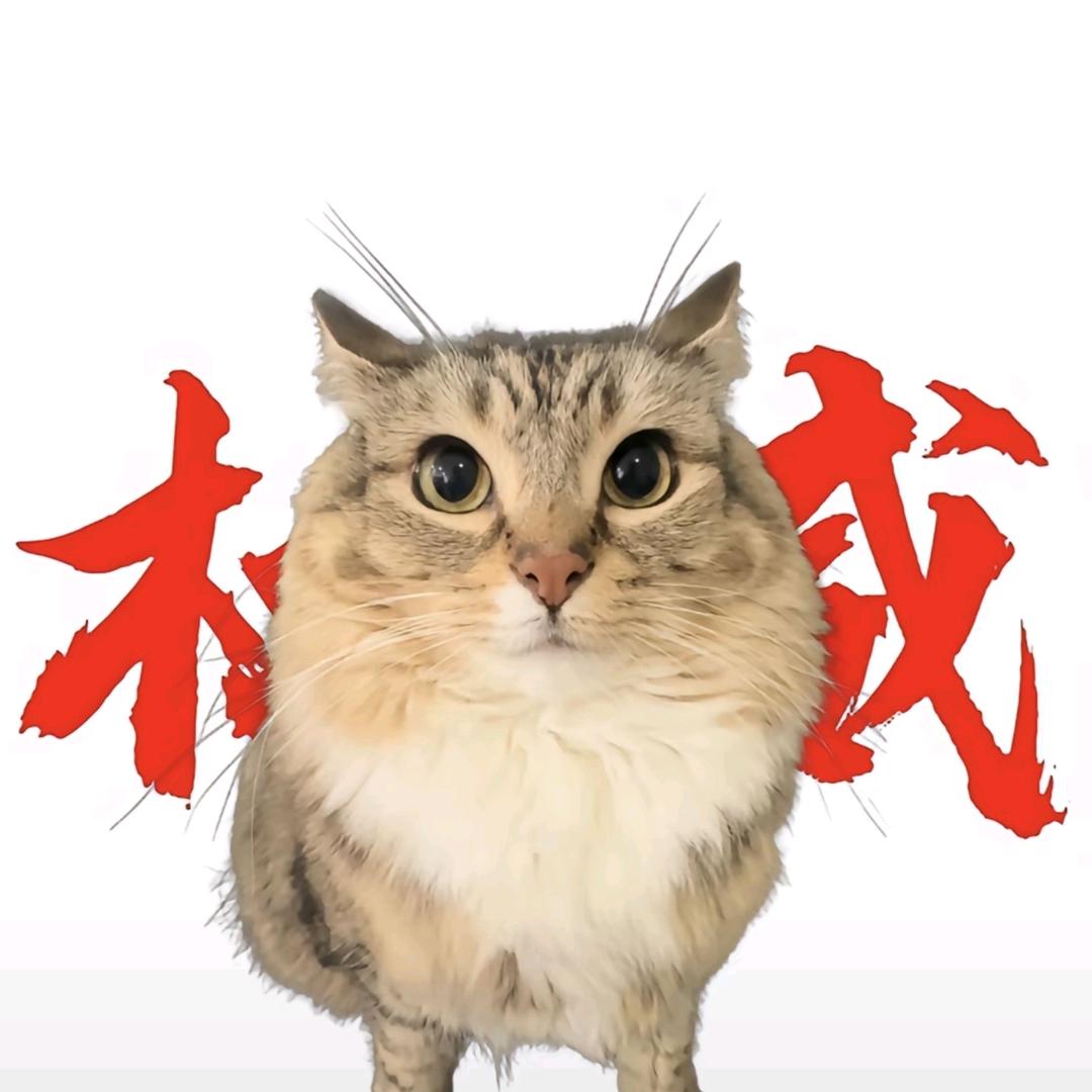 巴巴博一
