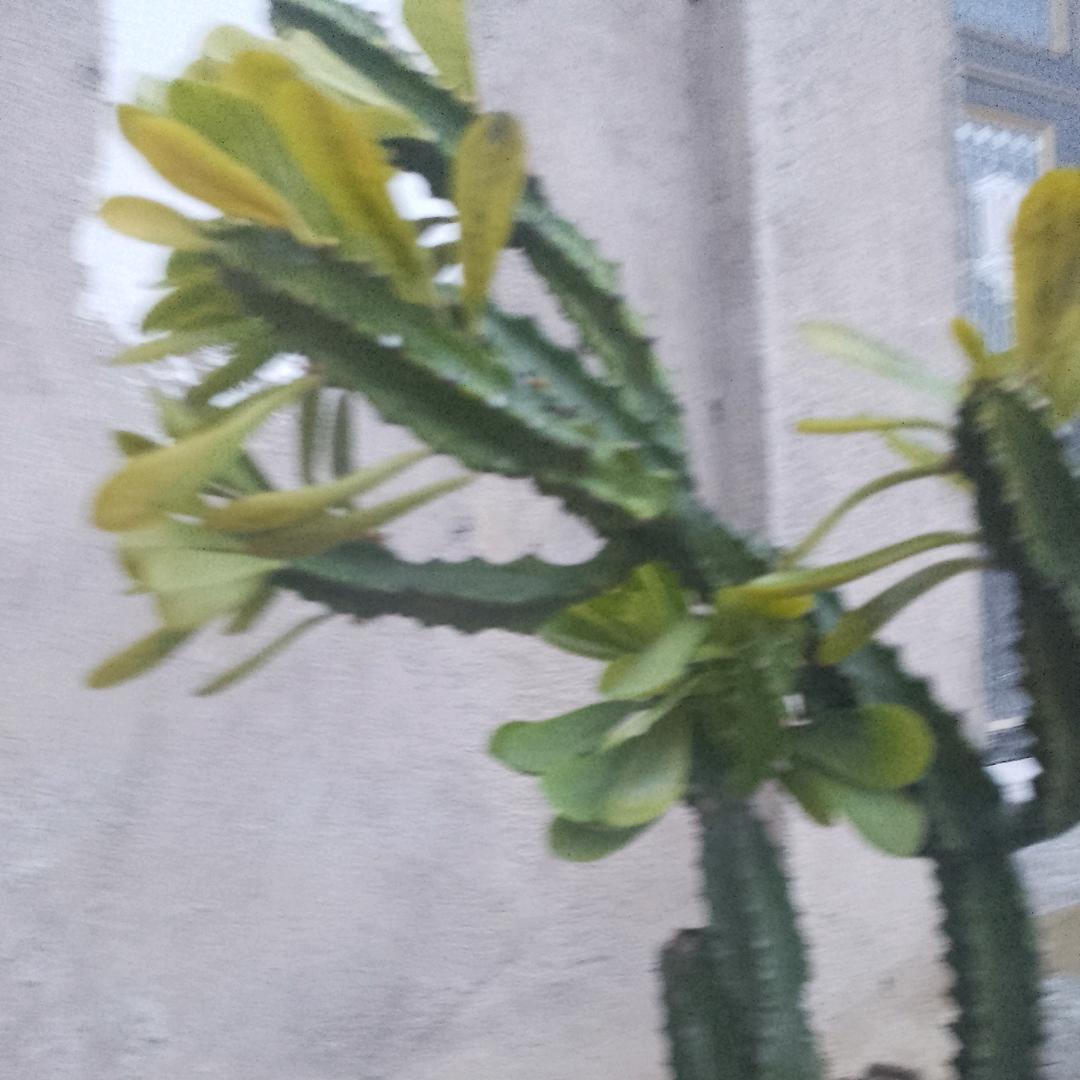 心净如水