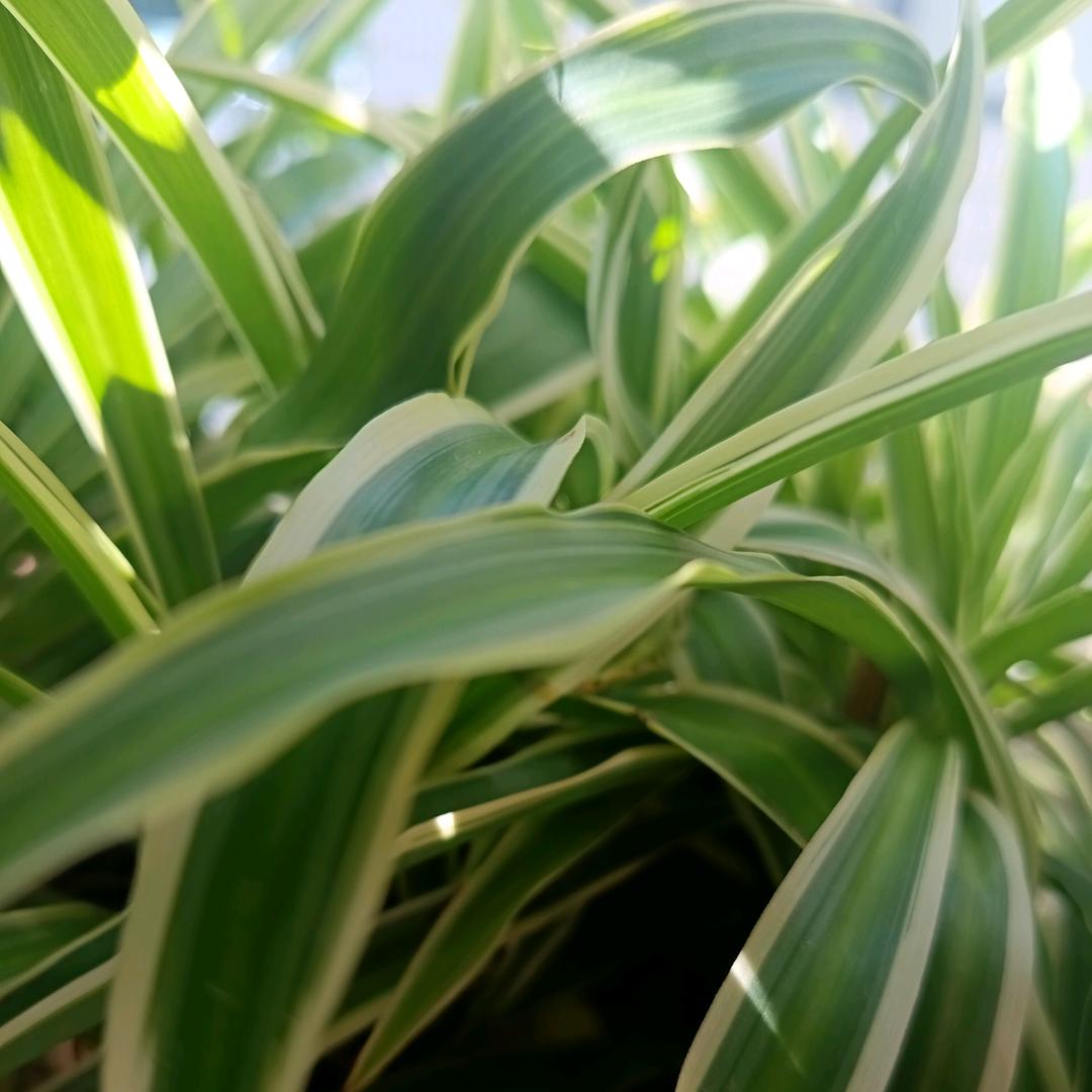 小小孩