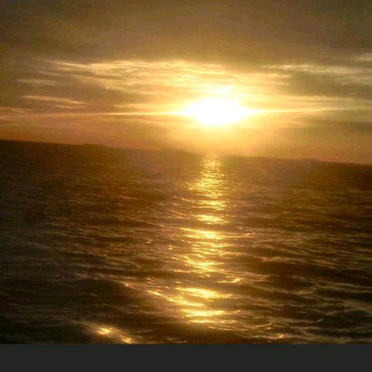 人生就是一篇文章