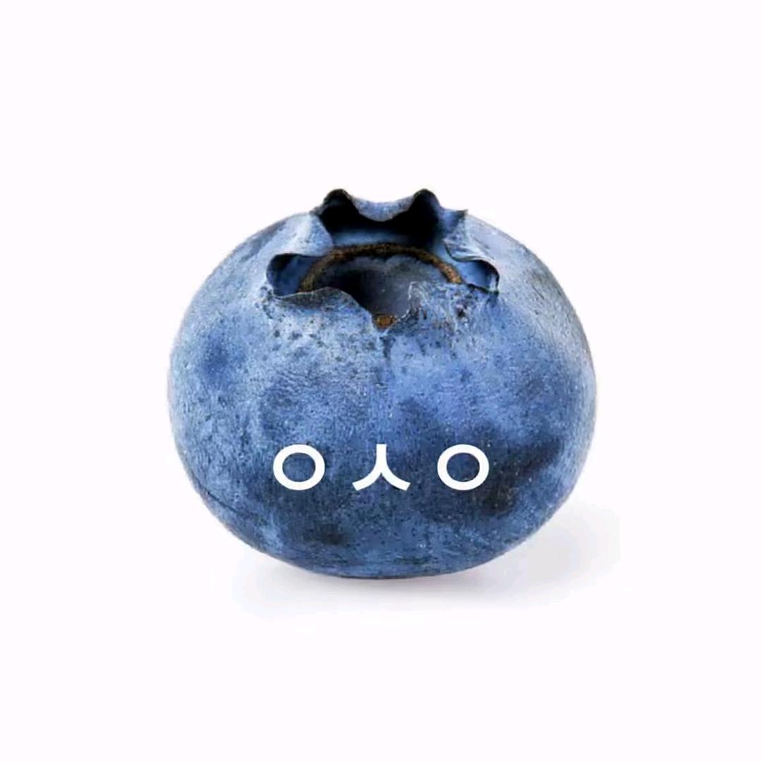 蓝莓🫐