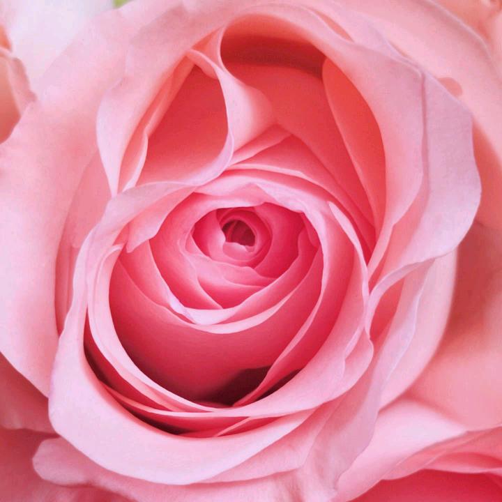 忻城浆站 -老徐