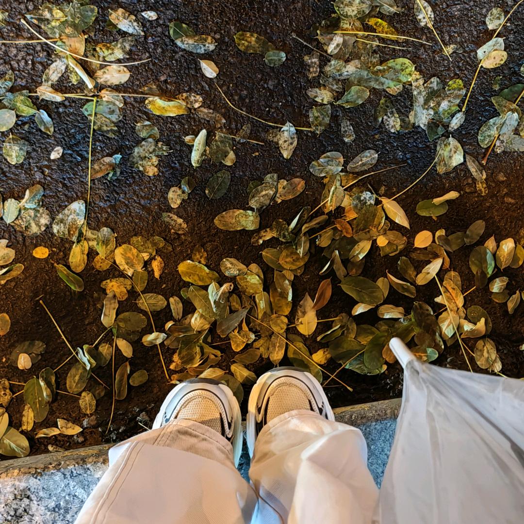 郎来了（见过GOST版👿)