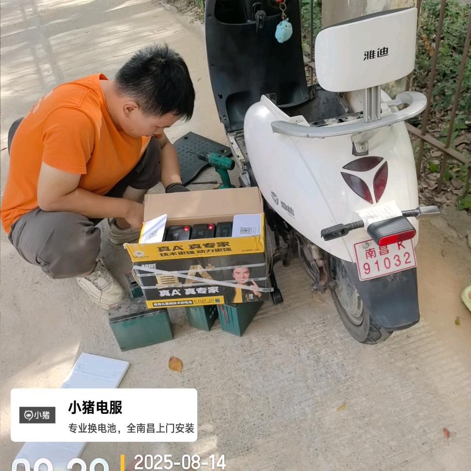 在南昌上门换电瓶的小猪