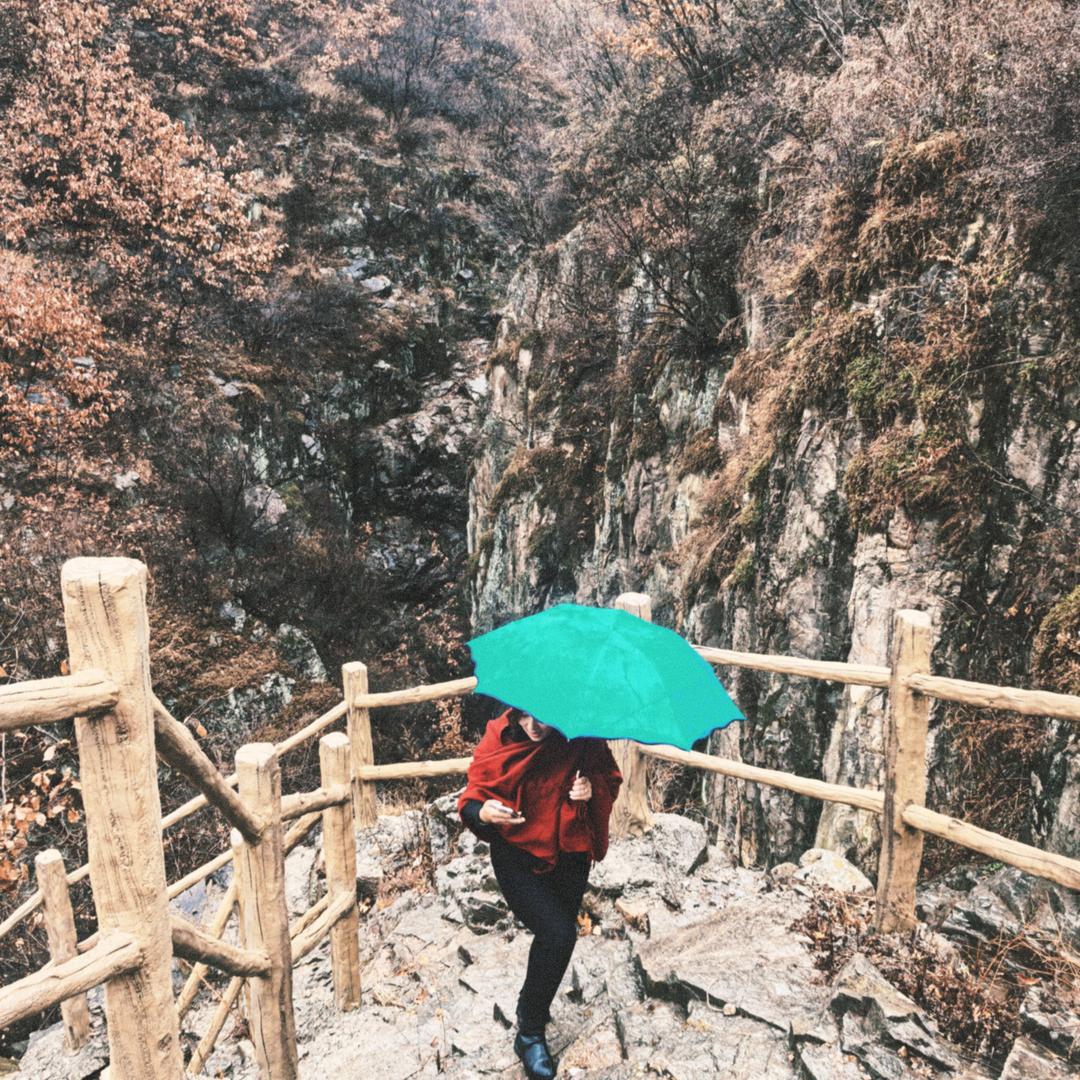 💖中国菇娘🌶️