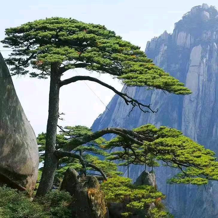 该用户已注销