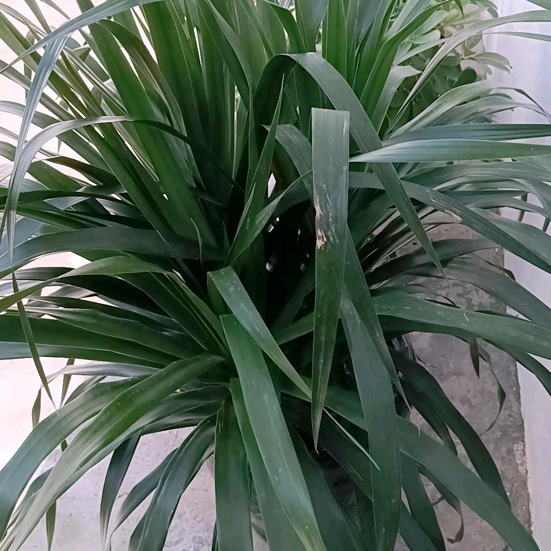 用户7077673010616