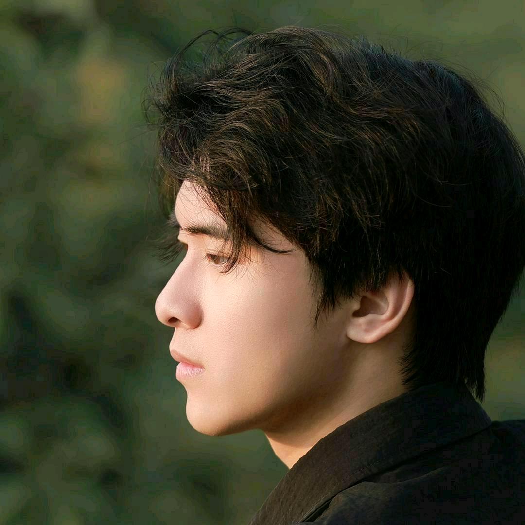 李青木