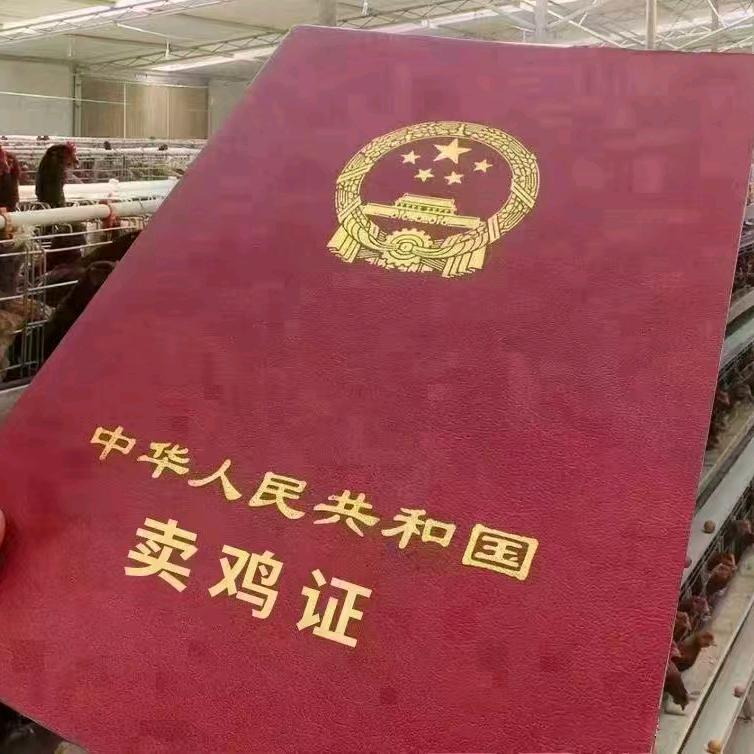 广西海权家禽有限公司