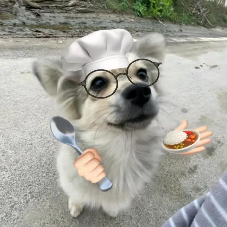 奥利利利利利奥