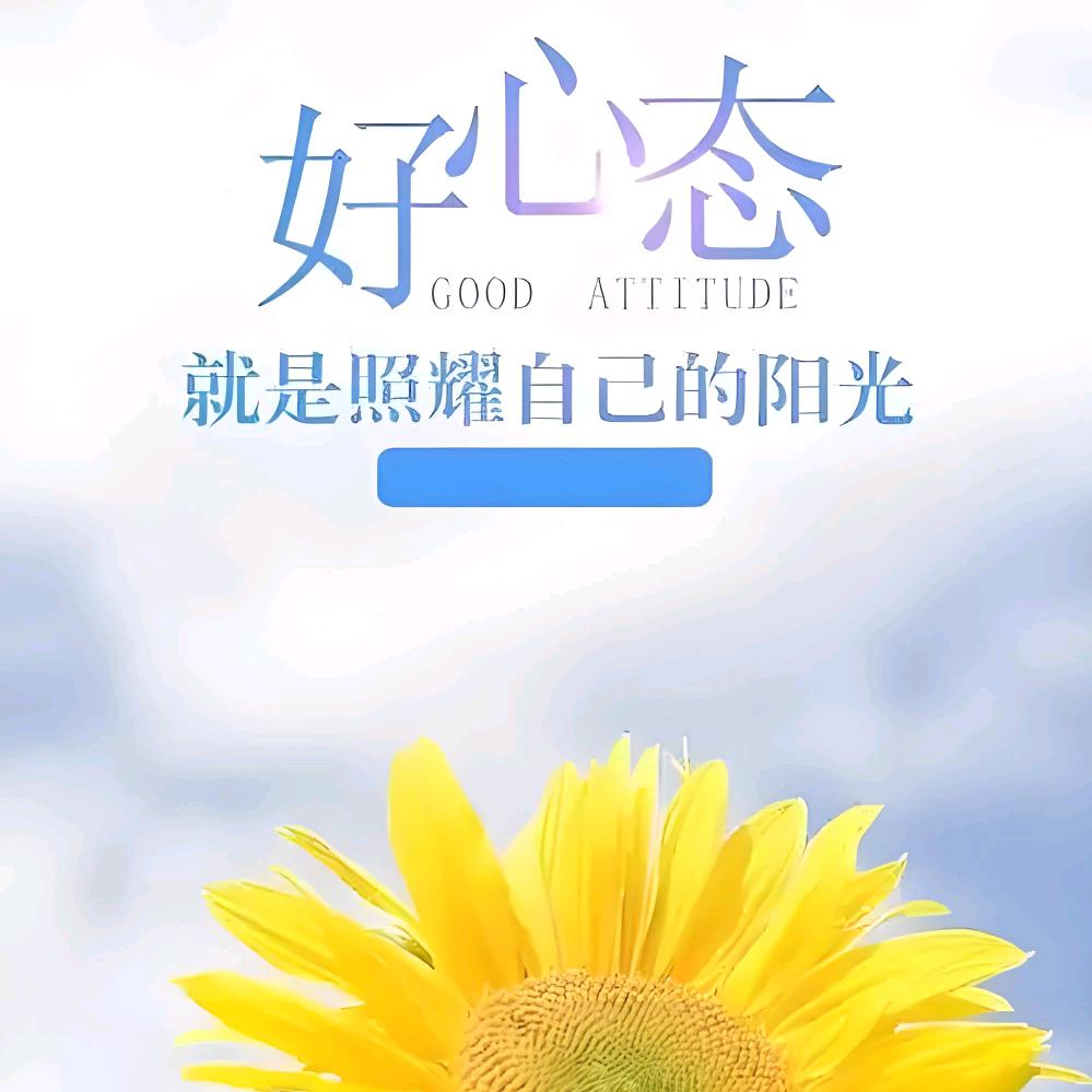 兰LAN
