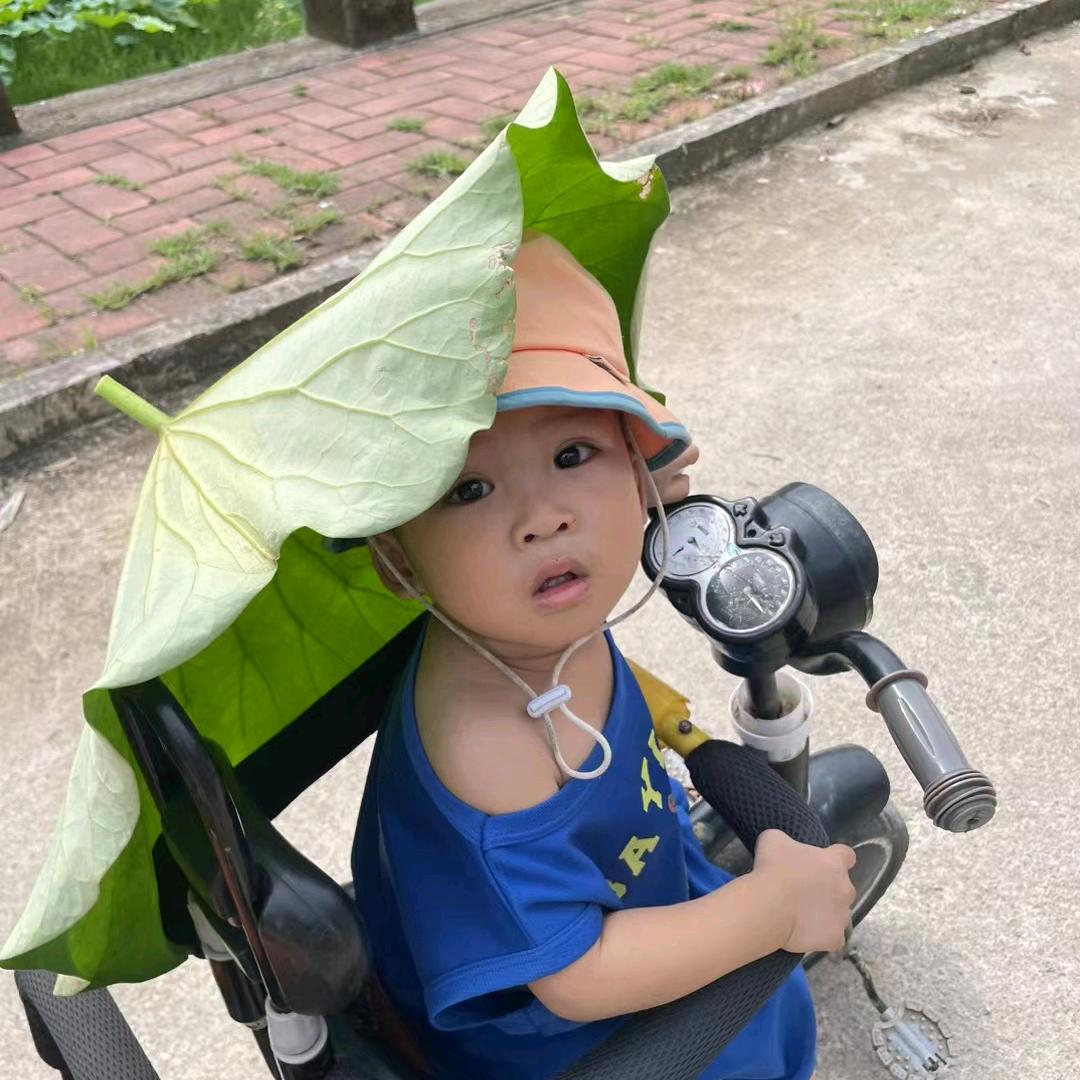 冷漠