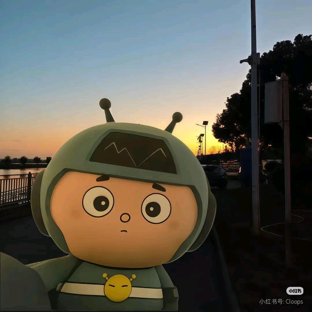 一只牛