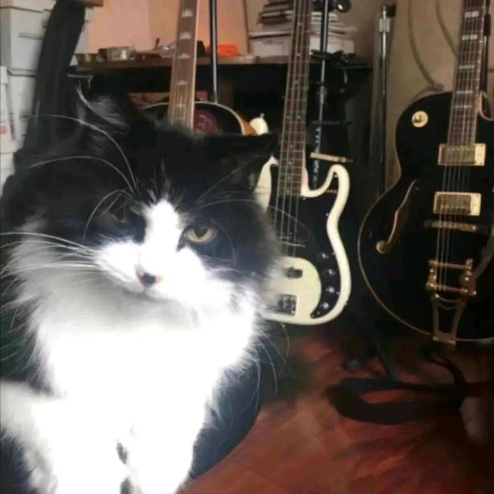 杜康.🍸（生病停播版）