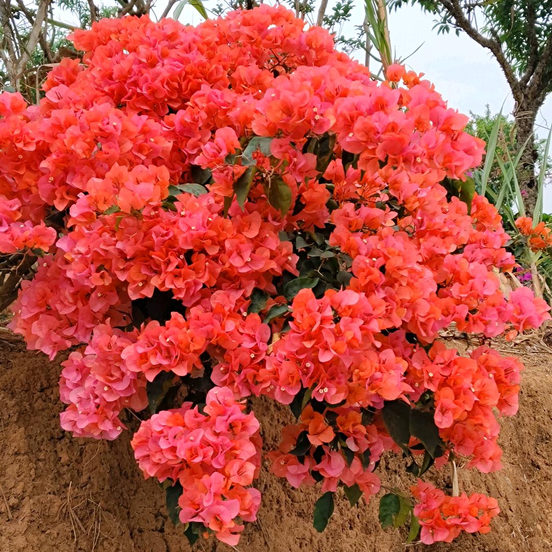 心归零点