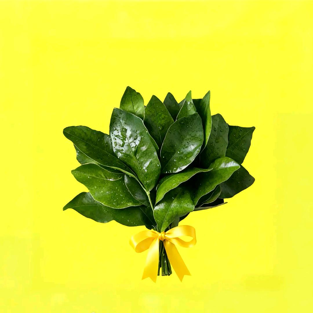 不爱吃香菜爱吃折耳根😂