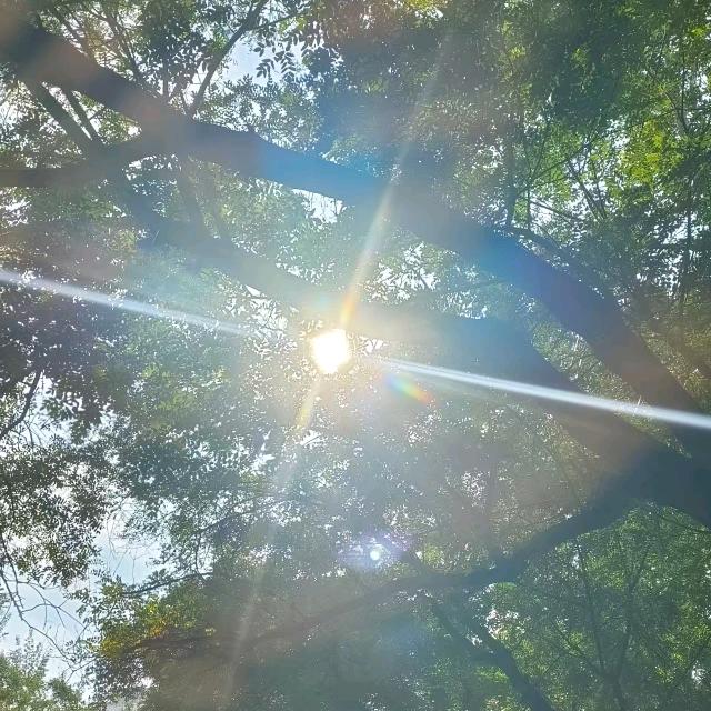 春