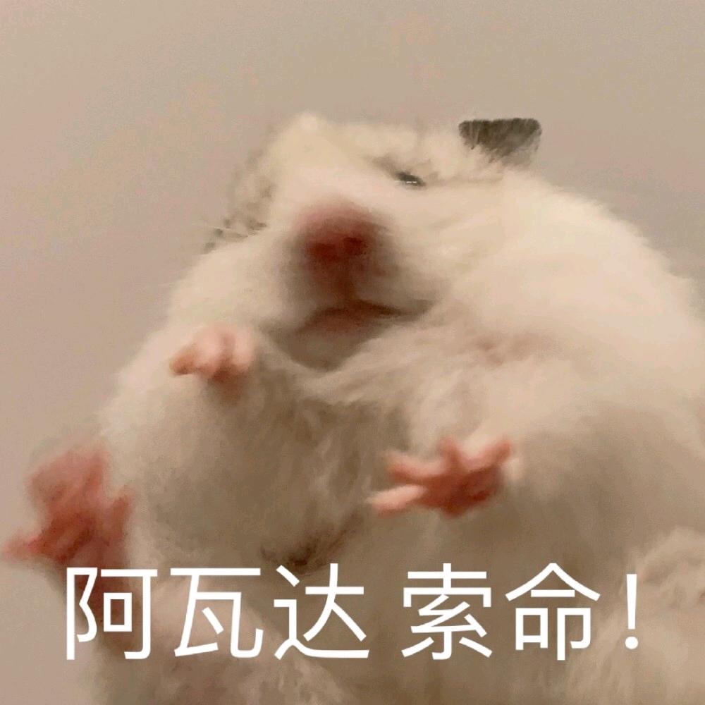 咩