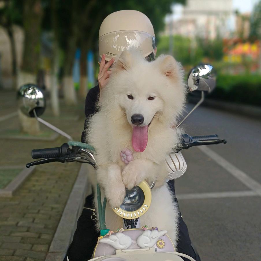 我是人间小太阳🔆