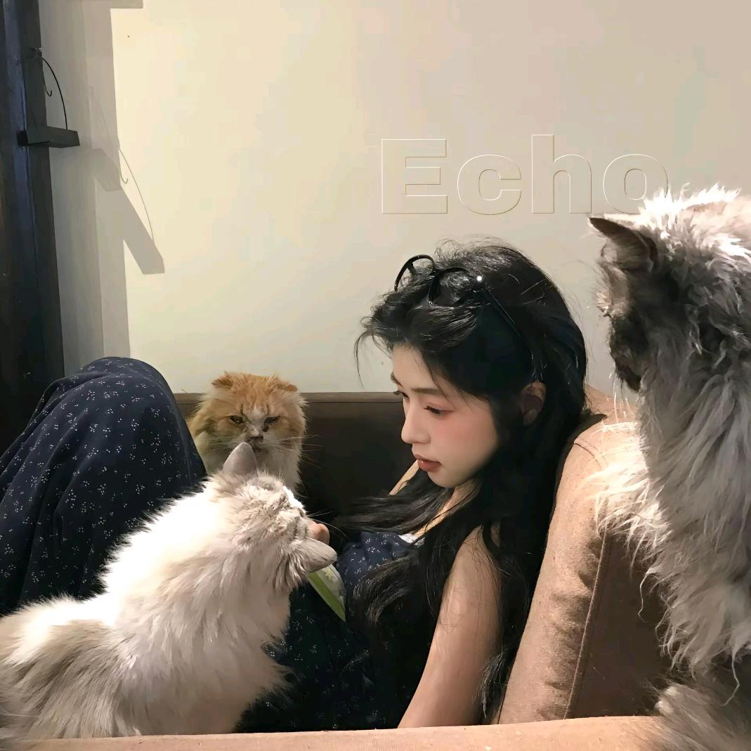 是小咪呀🌸