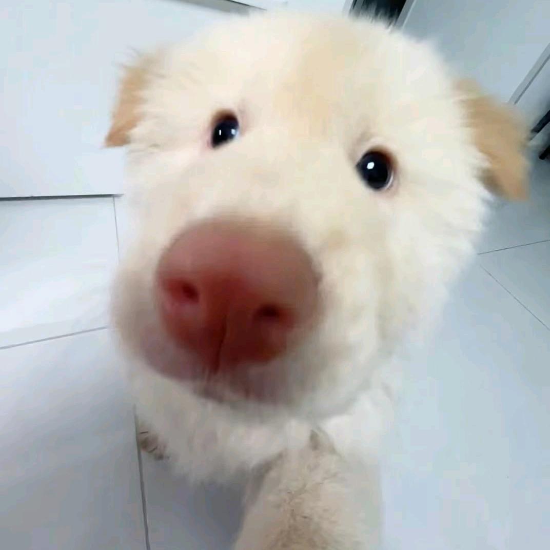 號
